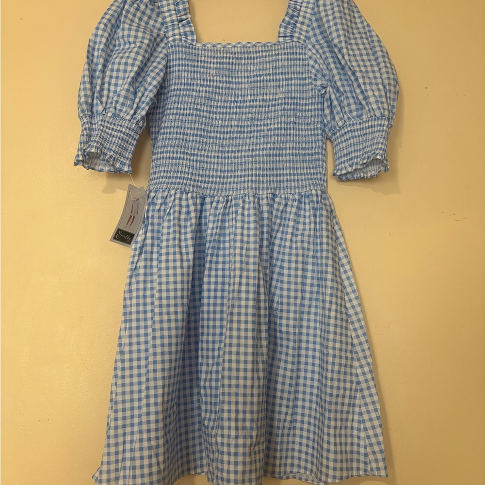 Chic Blue Gingham Casual Dress